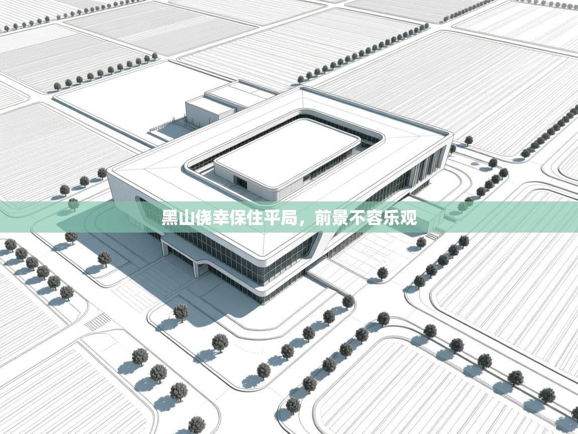 黑山侥幸保住平局，前景不容乐观  第1张