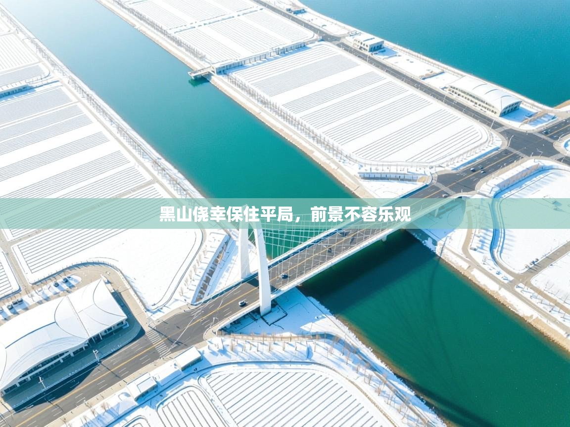 黑山侥幸保住平局，前景不容乐观  第2张